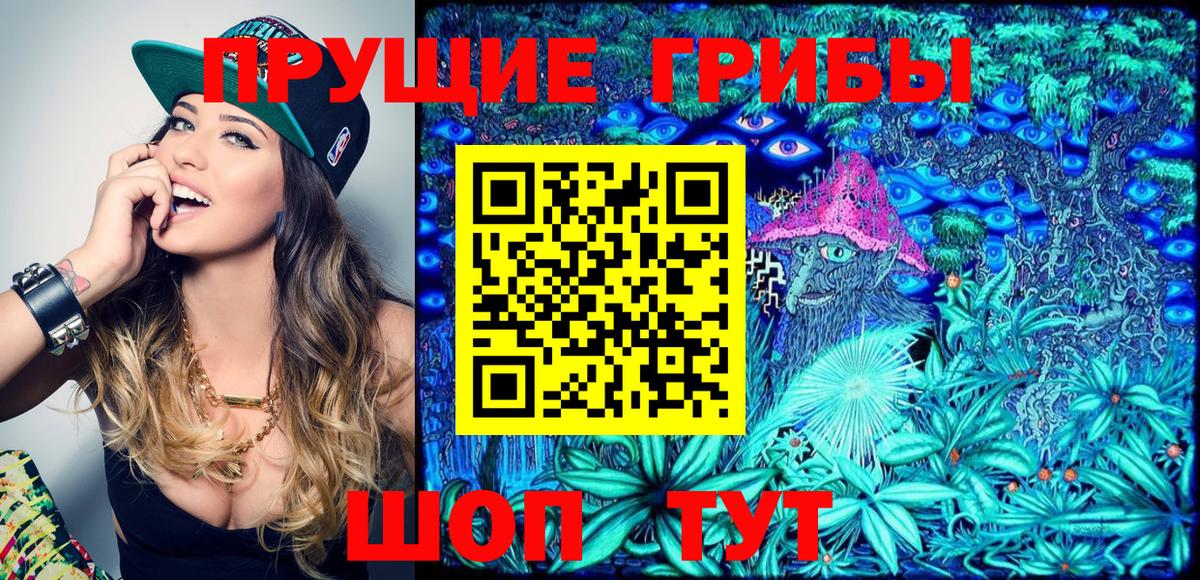 Псилоцибиновые грибы Cubensis Гурьевск