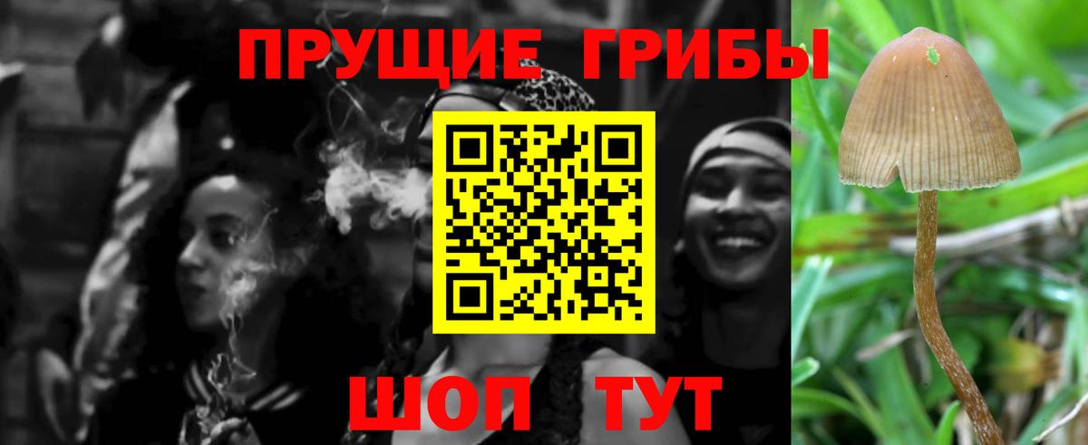 Псилоцибиновые грибы Psilocybe  Галлюциногенные грибы MAGIC MUSHROOMS  Вход с VPN  Гурьевск 